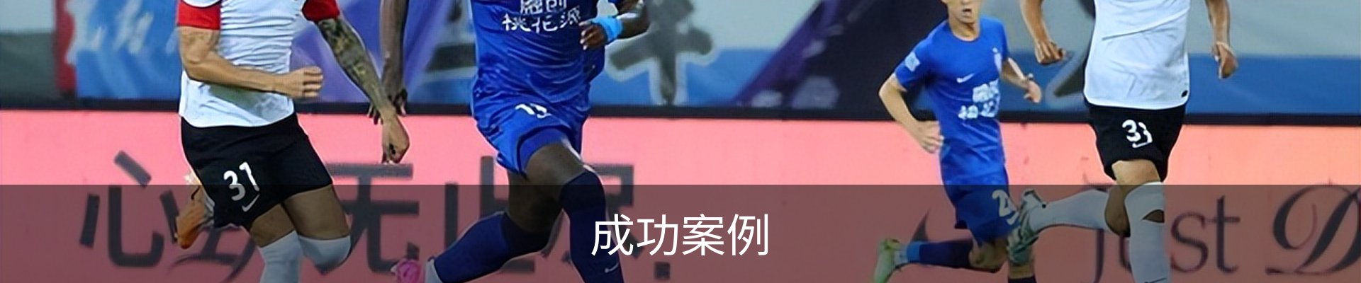 成功案例